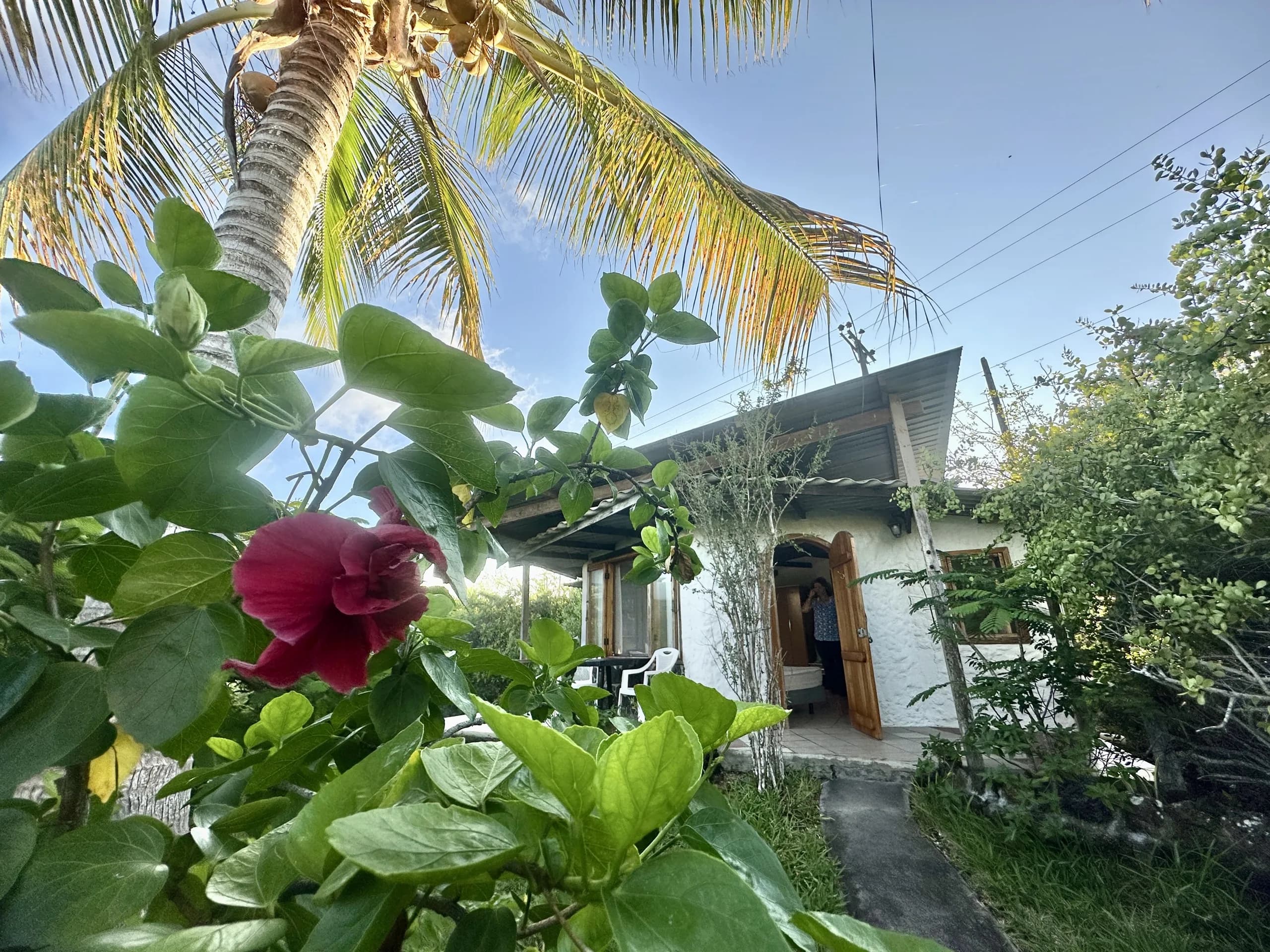 Bungalow surroundings