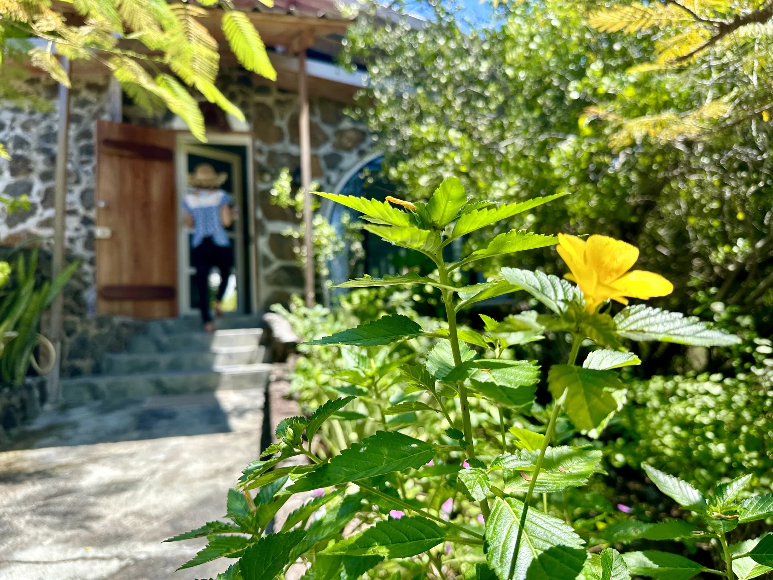 Outdoor area