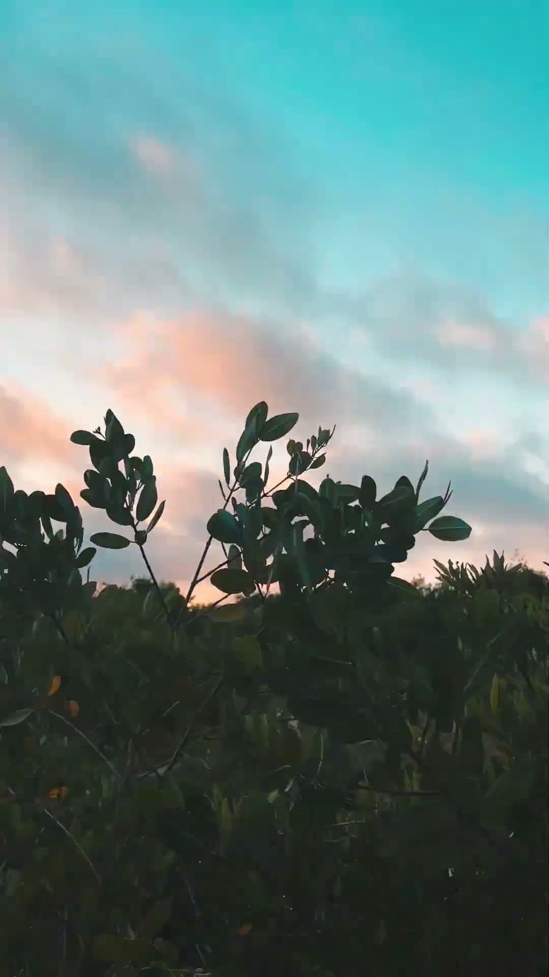 Sunrise at Jean's Home