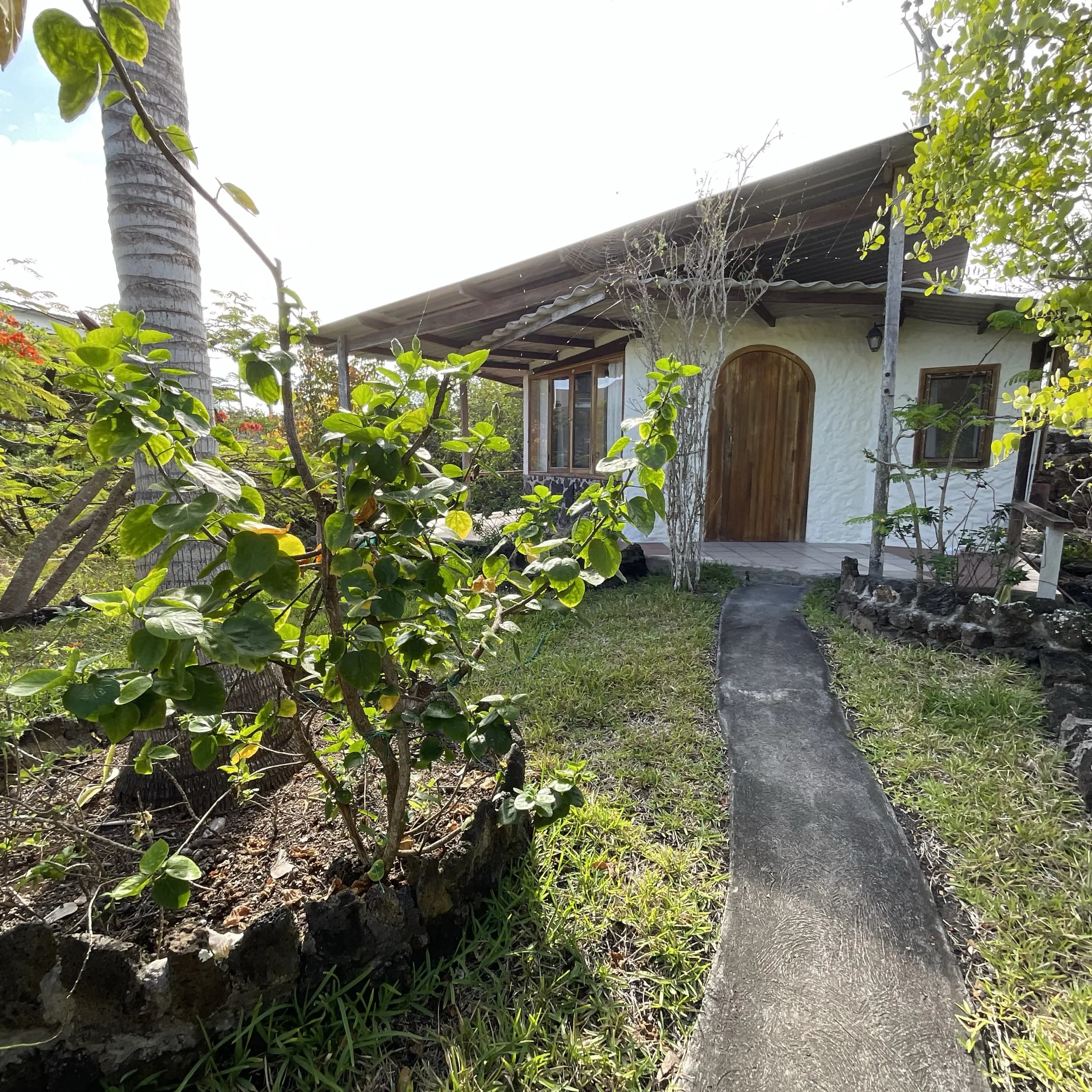 The Bungalow